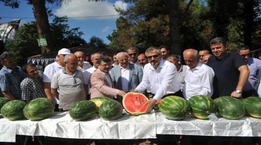 Kavun Ve Karpuz Festivali